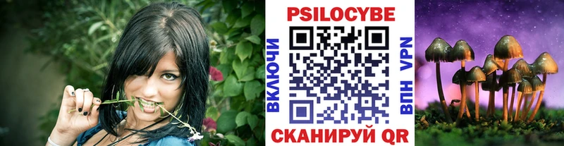 что такое наркотик  kraken tor  Псилоцибиновые грибы GOLDEN TEACHER  Нариманов 